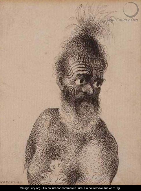Head of a Maori man - William Hodges