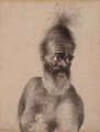 Head of a Maori man - William Hodges