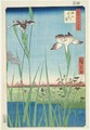 Irises at Horikin No 56 in the series 100 Views of Edo - Utagawa or Ando Hiroshige