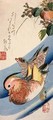 Two Mandarin Ducks - Utagawa or Ando Hiroshige