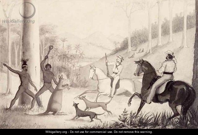 Kangaroo at bay - Clement Hodgkinson