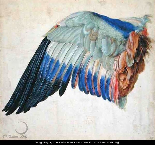 Wing of a Blue Roller - Hans Hoffmann