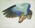 The Right Wing of a Blue Roller Coracia garrulus copy of an original by Albrecht Durer of 1512 - Hans Hoffmann