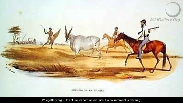 Driving in an Eland - William Cornwallis Harris
