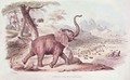 Hunting the Wild Elephant - William Cornwallis Harris