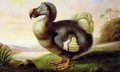 Study of a Dodo - F Hart