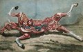 Anatomy of a horse from Cours dHippiatrique ou Traite Complet de la Medecine des Chevaux - (after) Harguinier
