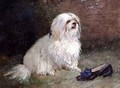 A Maltese Terrier - Heywood Hardy