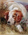 A Spaniel - James Hardy Jnr