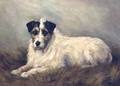 Terrier - Mabel Hastings