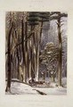 Winter Impeded Travellers in a Pine Forest from Harveys Scenes of the Primitive Forest of America - George Harvey