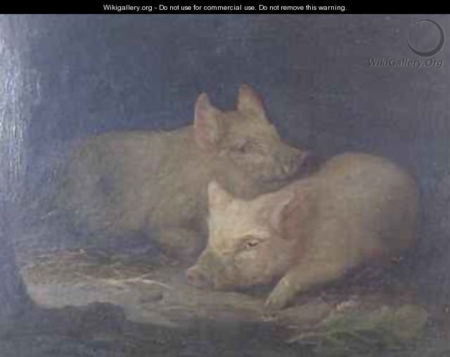 Two Prize Pigs in an Interior - John Rabone Harvey
