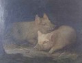 Two Prize Pigs in an Interior - John Rabone Harvey