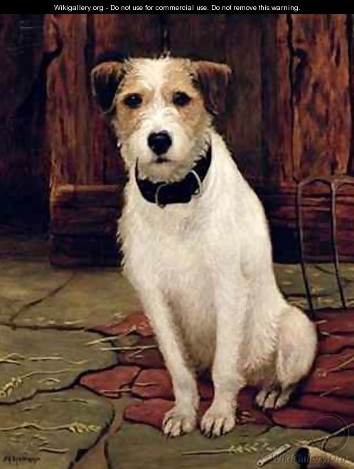 Portrait of Terrier - John Rabone Harvey