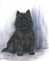 Study of a Scottie - Marion Rodger Hamilton Harvey