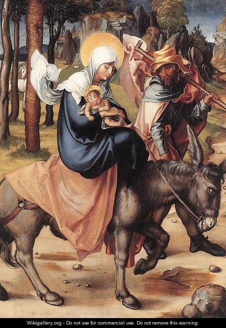 The Seven Sorrows of the Virgin The Flight into Egypt - Albrecht Durer
