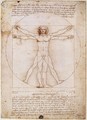 Vitruvian Man - Leonardo Da Vinci