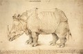 Rhinoceros 2 - Albrecht Durer