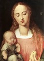 Madonna and Child with the Pear - Albrecht Durer