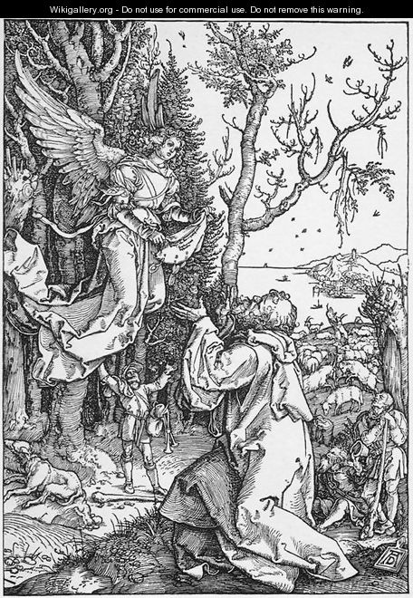 Life of the Virgin 2. The Angel Appering to Joachim - Albrecht Durer