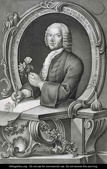 Portrait of Georg Dionysius Ehret 1710-70 - (after) Heckel, Anton