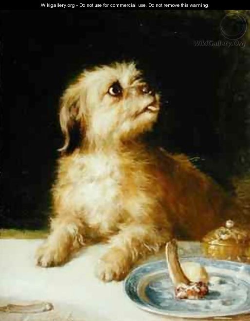 Norfolk Terrier - Thomas Earl