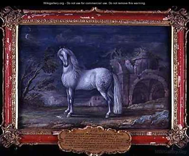 No 3 Superbe a German dappled grey horse from the Spanish Riding School who was famous for his piaffe - Baron Reis d