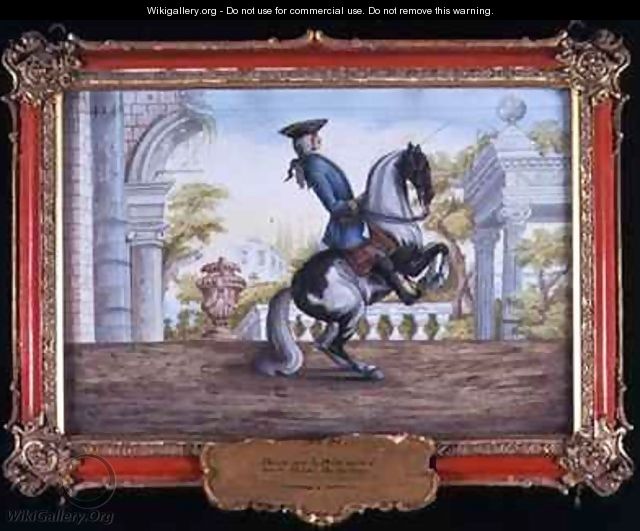 No 41 A skewbald horse of the Spanish Riding School performing the Pesade - Baron Reis d