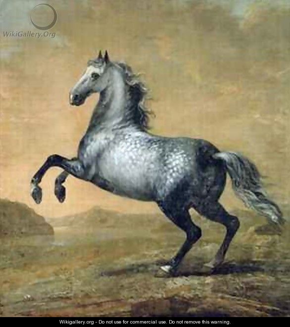 The Little Englishman King Karl XIs Horse - David Klocker Ehrenstrahl