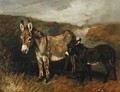 Donkeys out on the Moor - John Emms