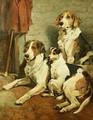 Foxhounds - John Emms