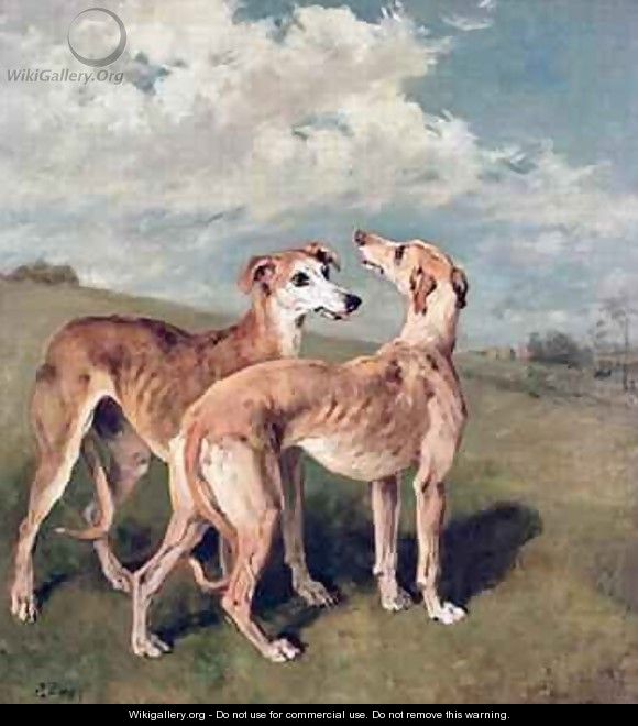 Greyhounds - John Emms