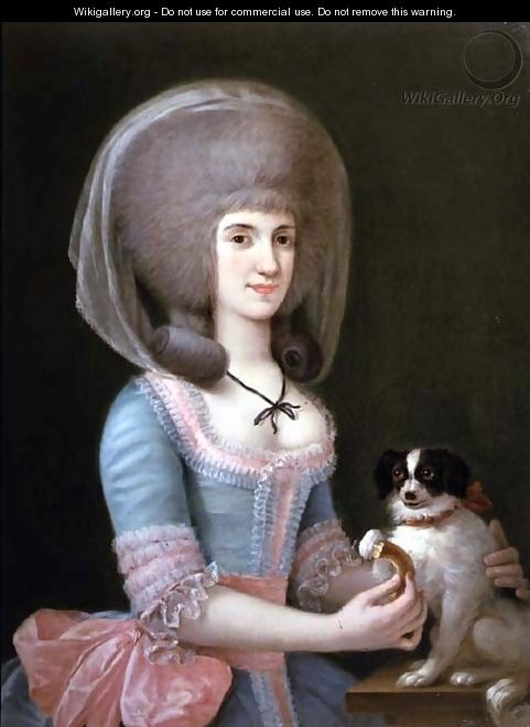 Portrait of Dona Maria Teresa Apodaca de Sisma - Augustin Esteve