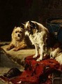 Dogs and a Tortoise - Charles van den Eycken