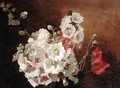 Flower Study - Ignace Henri Jean Fantin-Latour
