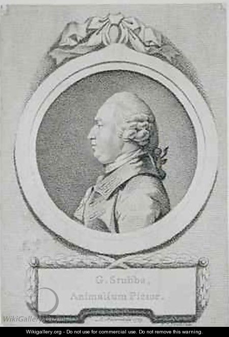 Portrait study of George Stubbs 1724-1806 - Pierre-Etienne Falconet