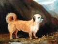 A Dandie Dinmont Terrier - John Ferneley, Snr.