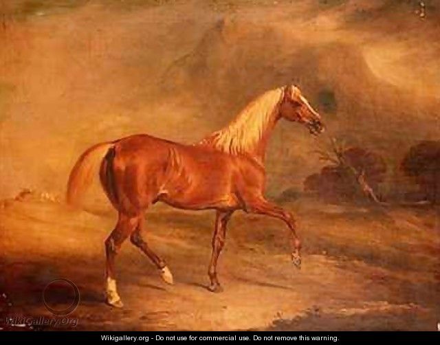 Chestnut Arab Stallion - John Ferneley, Snr.
