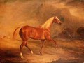 Chestnut Arab Stallion - John Ferneley, Snr.