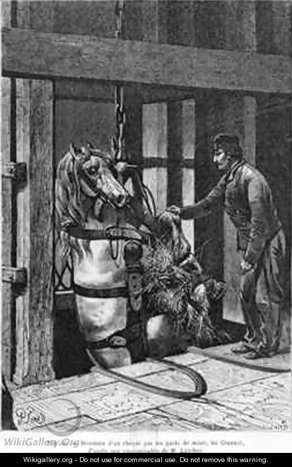 Horse comming down the coalpit at Le Creusot - (after) Ferat, Jules