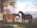 Brood Mares at Grass - John Ferneley, Snr.