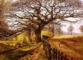 The Tree - John Milne Donald