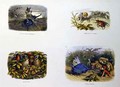 In Fairy Land 3 - Richard Doyle