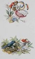 Flirting and Stealing - Richard Doyle