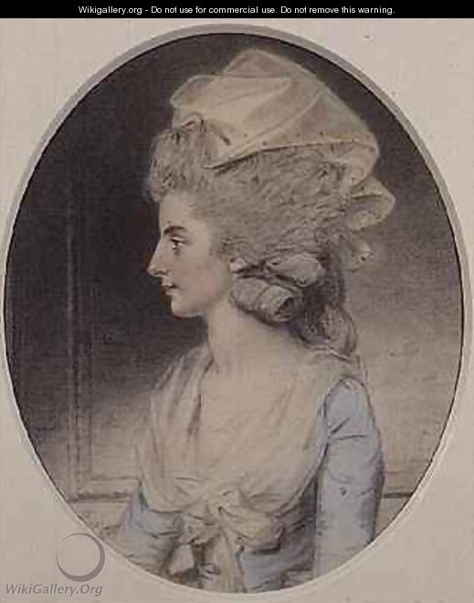 Portrait of a Lady - John Downman