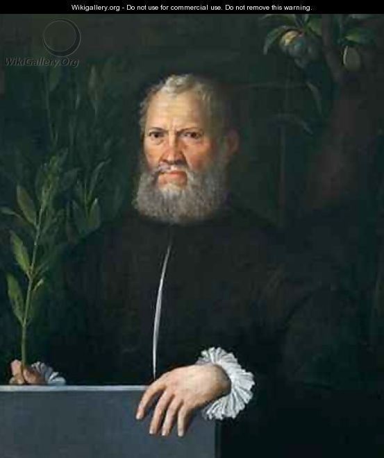 Portrait of a man with laurel branch and plums - Dosso Dossi (Giovanni di Niccolo Luteri)