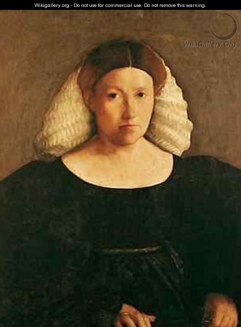 Portrait of a Woman with a White Hairnet - Dosso Dossi (Giovanni di ...