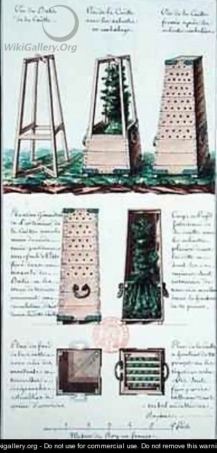 Illustration of a special cabinet for transporting shrubs and bushes - Gaspard Duche de Vancy