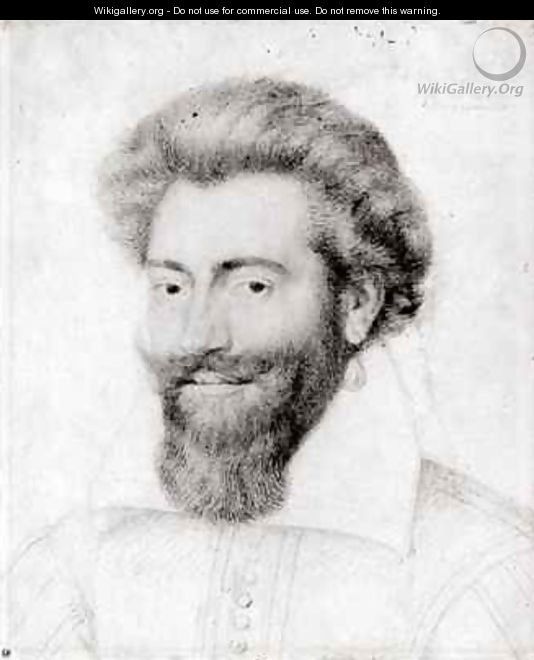 Portrait of a Bearded Man - Daniel Dumonstier