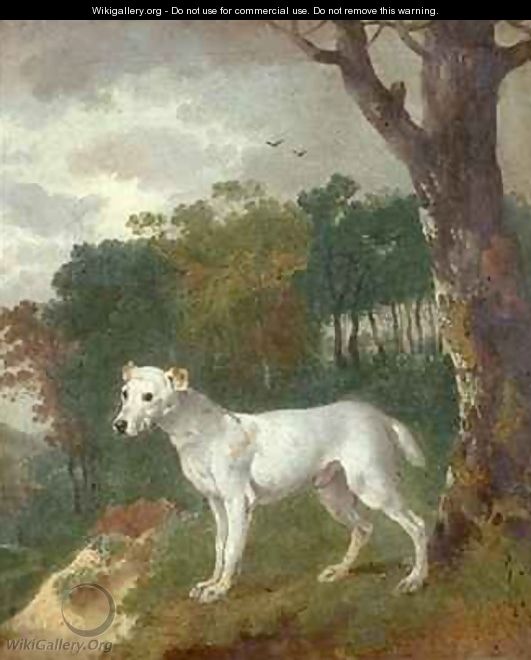Bumper a Bull Terrier - Thomas Gainsborough